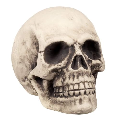 Boland 71989 - Schädel Supermind, Halloween-Accessoire, Halloween-Party Boland 71989 - Schädel Supermind, Halloween-Accessoire, Halloween-Party von Boland