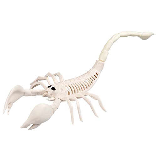 Boland 72401 - Skorpion-Skelett, Größe 31 cm, Attrappe aus Kunststoff, Dekoration für Halloween, Karneval oder Mottoparty von Boland