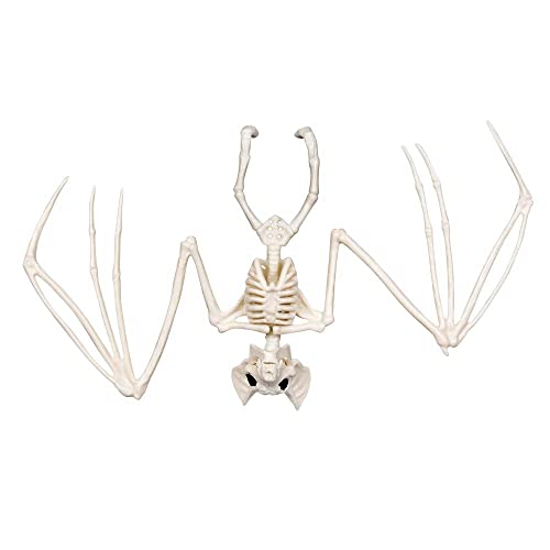 Boland 72402 - Fledermaus-Skelett, Größe 30 cm, Attrappe aus Kunststoff, Dekoration für Halloween, Karneval oder Mottoparty von Boland