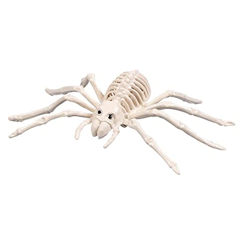 Boland 72403 - Spinnen-Skelett, Größe 23 x 14 cm, Attrappe aus Kunststoff, Spinne, Spider, Dekoration für Halloween, Karneval oder Mottoparty von Boland