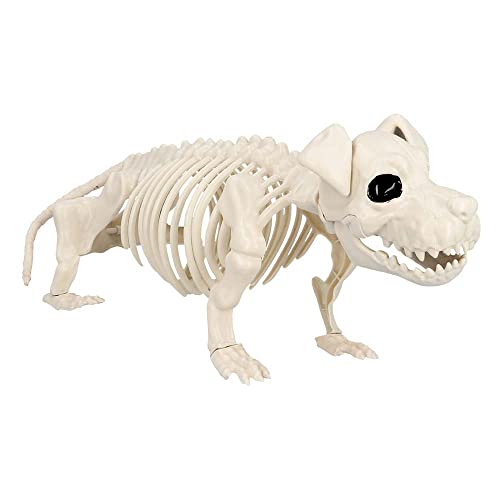 Boland 72416 - Hunde-Skelett, Größe 52 cm, beweglicher Mund, Hund, Dog, Attrappe aus Kunststoff, Dekoration für Halloween, Karneval oder Mottoparty, Beige-schwarz Boland 72416 - Hunde-Skelett, Größe 52 cm, beweglicher Mund, Hund, Dog, Attrappe aus Kunststoff, Dekoration für Halloween, Karneval oder Mottoparty, Beige-schwarz von Boland