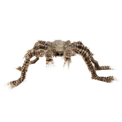 Boland 74408 - Dekoration Haarige Spinne, 1 Stück, Größe 50 x 70 cm, braun-grau-schwarz, formbar, biegsam, Spider, schwarze Augen, Halloween, Hexe, Accessoire, Party, Grusel, Mottoparty, Karneval Boland 74408 - Dekoration Haarige Spinne, 1 Stück, Größe 50 x 70 cm, braun-grau-schwarz, formbar, biegsam, Spider, schwarze Augen, Halloween, Hexe, Accessoire, Party, Grusel, Mottoparty, Karneval von Boland