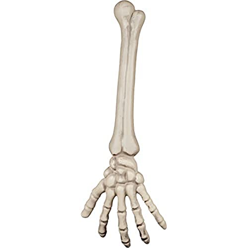 Boland 74556 - Skelett Arm circa 46 cm, Knochem für Partydeko, Dekoration für Halloween, Karneval und Mottoparty von Boland