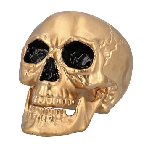 Boland - Totenkopf Maxilla mit beweglichem Gebiss, Deko Schädel für Horror Party, Halloween oder Karneval von Boland