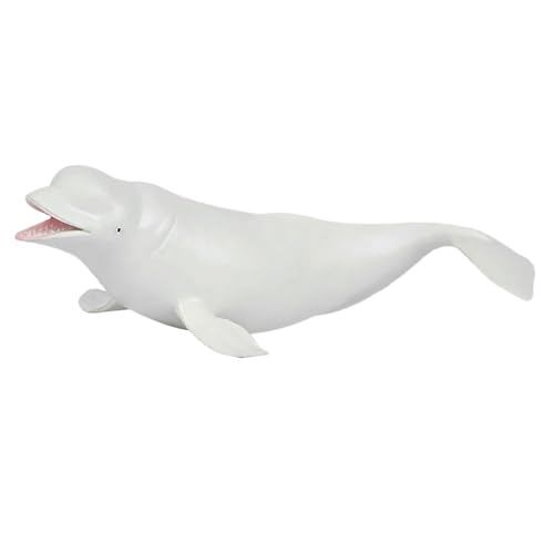 Bonbela Beluga Wal Modell PVC Kunststoff Simulation Beluga Wal Dekoration Simulation Tier Figur Spielzeug von Bonbela