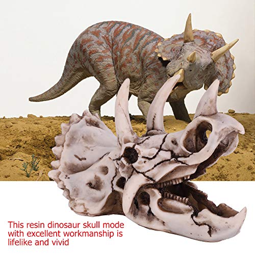 Bonbela Harz Dinosaurier Triceratops Schädel Modell Simuliertes Skelett Home Office Display Dekorative Handwerk Bonbela Harz Dinosaurier Triceratops Schädel Modell Simuliertes Skelett Home Office Display Dekorative Handwerk von Bonbela