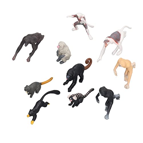 Bonbela Premierminister Monkey Abbildung 14 × 7 × 4 10 -teilige Schlauch Monke von Bonbela