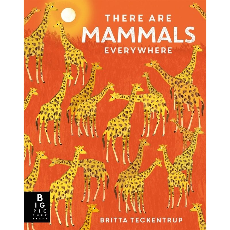 There are Mammals Everywhere von Bonnier Books UK