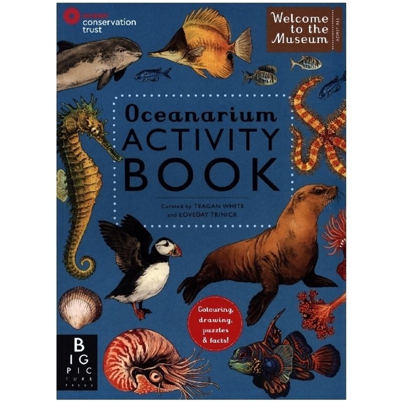 Oceanarium Activity von Bonnier Books UK