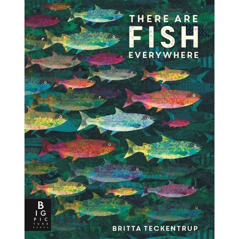 There are Fish Everywhere von Bonnier Books UK