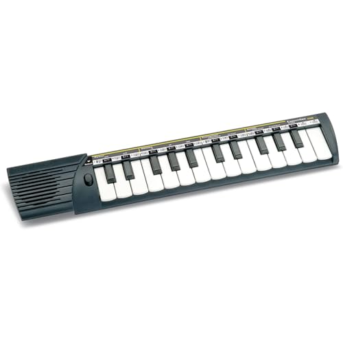 Bontempi 15 2500 Elektronik-Keyboard, Schwarz/Weiß, Medium von Bontempi