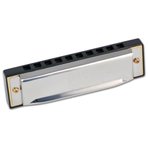 Bontempi 30 1020 Mondharmonica, grau Bontempi 30 1020 Mondharmonica, grau von Bontempi