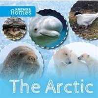 The Arctic von BookLife Publishing