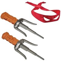 Raphael Transforming Sai von Boti Europe