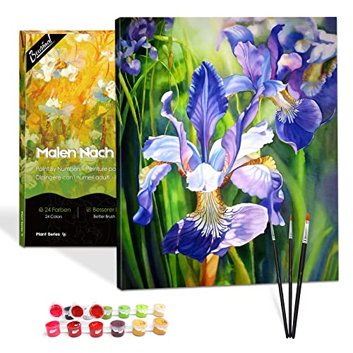 Bougimal Malen Nach Zahlen Erwachsene Blume mit Rahmen inklusive Pinsel und Acrylfarben - 40 x 50 cm, Iris Bougimal Malen Nach Zahlen Erwachsene Blume mit Rahmen inklusive Pinsel und Acrylfarben - 40 x 50 cm, Iris von Bougimal