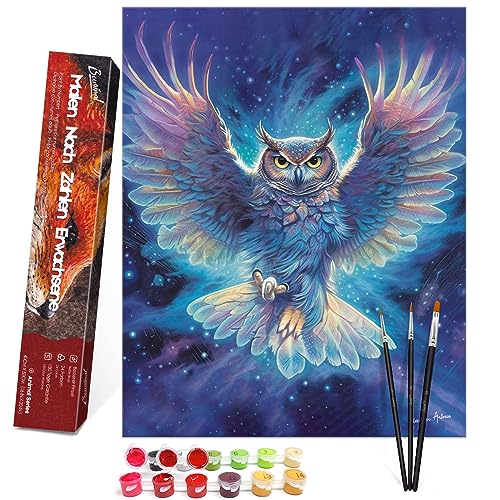 Bougimal Malen Nach Zahlen Erwachsene Tiere ohne Rahmen inklusive Pinsel und Acrylfarben - 40 x 50 cm, Blaue Eule Bougimal Malen Nach Zahlen Erwachsene Tiere ohne Rahmen inklusive Pinsel und Acrylfarben - 40 x 50 cm, Blaue Eule von Bougimal