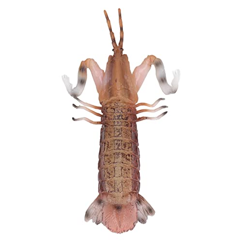 Boxwizard Mantis Shrimp Model Solid Vivid Simulation Shrimp Model for Children Toy Education Model Boxwizard Mantis Shrimp Model Solid Vivid Simulation Shrimp Model for Children Toy Education Model von Boxwizard