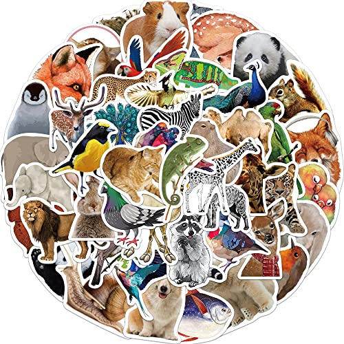 50 Stück Tieren Stickers Aufkleber Auto Laptop Telefon Gitarre Skateboard Motorrad Fahrrad Aquarell Tiere Stickers Set Vinyl Wasserdicht Aesthetic Aufkleber für Jugendliche Kinder Erwachsene… von Bric Dodo