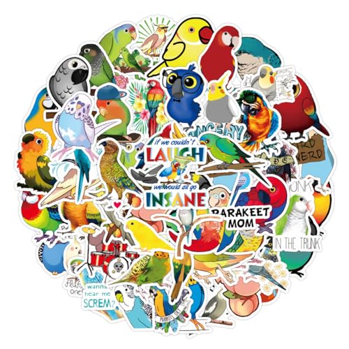 Bric Dodo 50 Stück Nein Aufkleber Auto Laptop Telefon Gitarre Skateboard Motorrad Fahrrad Parrot Stickers Set Vinyl Wasserdicht Aesthetic Aufkleber für Jugendliche Kinder Erwachsene von Bric Dodo