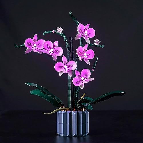 Led Licht Set Kompatibel mit Lego Orchidee (Nur Lichter, kein Baustein), Licht-Kit Compatible with Lego 10311 Orchidee Botanical Collection Set von BrickBling