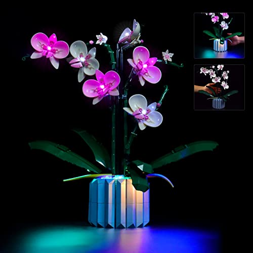 BrickBling Licht-Set Kompatibel mit Lego Orchidee Dekorations-LED-Licht-Set Compatible with Lego 10311 Orchidee Botanical Collection Set（Nur Lichter, Nicht enthaltener Baustein）-Light Control-Version von BrickBling