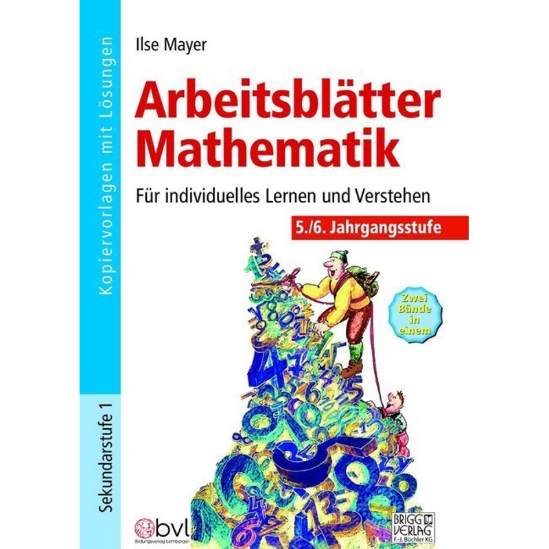 Arbeitsblätter Mathematik 5./6. Klasse von Brigg Verlag