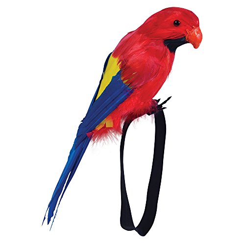 Bristol Novelty BA351 Papagei Accessoire auf Armband, unisex-adult, Mehrfarbig, Einheitsgröße Bristol Novelty BA351 Papagei Accessoire auf Armband, unisex-adult, Mehrfarbig, Einheitsgröße von Bristol Novelty