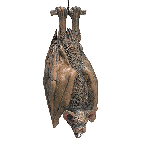 Bristol Novelty HI124 Hängende Fledermaus, Brown, Einheitsgröße Bristol Novelty HI124 Hängende Fledermaus, Brown, Einheitsgröße von Bristol Novelty