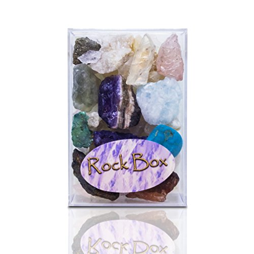 British Fossils Natural Collection Box Rock Mineral Kristall Amethyst Quarz Reiki Geoden Edelstein British Fossils Natural Collection Box Rock Mineral Kristall Amethyst Quarz Reiki Geoden Edelstein von British Fossils
