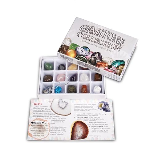 Edelstein-Sammelset - 15 echte polierte Edelsteine mit Lernheft, ID-Tabelle und Lupe - Crystal Discovery Geschenkset Edelstein-Sammelset - 15 echte polierte Edelsteine mit Lernheft, ID-Tabelle und Lupe - Crystal Discovery Geschenkset von British Fossils
