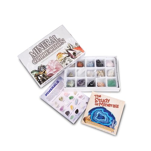 Mineralsammel-Set - 15 echte Mineralstücke mit Lernheft, Ausweistabelle & Lupe - pädagogisches Felsenentdeckungsset Mineralsammel-Set - 15 echte Mineralstücke mit Lernheft, Ausweistabelle & Lupe - pädagogisches Felsenentdeckungsset von British Fossils