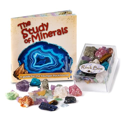 Rock Box – Einzigartige echte Mineralsammlung mit Lernbroschüre zum Studium der Mineralien Rock Box – Einzigartige echte Mineralsammlung mit Lernbroschüre zum Studium der Mineralien von British Fossils