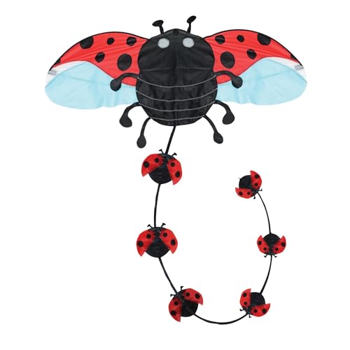 Brookite 30038 Ladybird Kite Drachen, Mehrfarbig Brookite 30038 Ladybird Kite Drachen, Mehrfarbig von Brookite