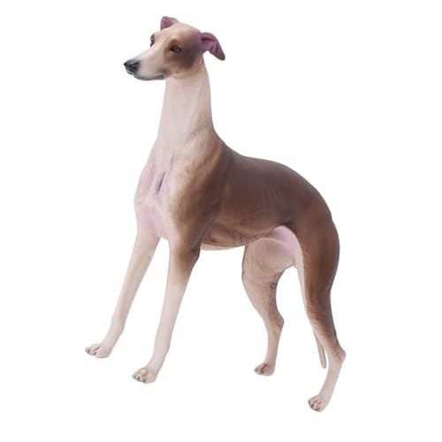 Brrnoo Windhund, Windhundgeschenke Ornamente Desktop Dekoration Simulation Brown Windhund Model Desk Ornament Spielzeug Brrnoo Windhund, Windhundgeschenke Ornamente Desktop Dekoration Simulation Brown Windhund Model Desk Ornament Spielzeug von Brrnoo