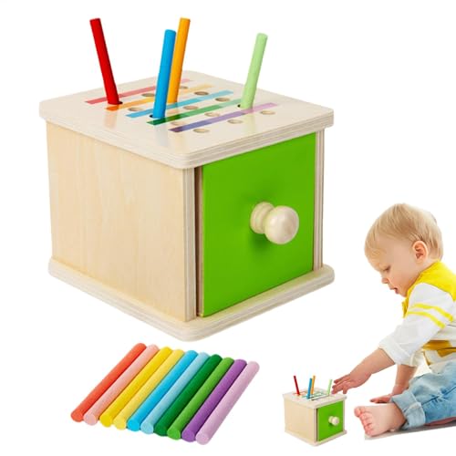 Bsbkoj Color Sorting Toys, Wooden Matching Game Box, Preschool Learning Activity, Educational Fine Motor Skill Toy for Boys & Girls 3+ (4.33x4.33x3.74 inches) von Bsbkoj