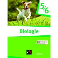 Biologie Niedersachsen 5/6 von Buchner, C.C.