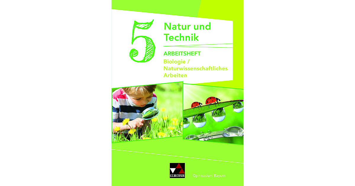 Buch - Natur und Technik, Biologie / Naturwissenschaftliches Arbeiten, Gymnasium Bayern: 5. Jahrgangsstufe, Arbeitsheft Buch - Natur und Technik, Biologie / Naturwissenschaftliches Arbeiten, Gymnasium Bayern: 5. Jahrgangsstufe, Arbeitsheft von Buchner Verlag