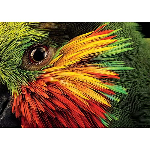 Buffalo Games - Edward's Fig Parrot - Puzzle 500 Teile von Buffalo Games