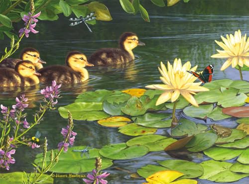 Buffalo Games Hautman Brothers – Big Day Out – 1000-teiliges Puzzle für Erwachsene – herausforderndes Puzzle perfekt für Spieleabende – Fertige Größe ist 26,75 x 19,75 cm Buffalo Games Hautman Brothers – Big Day Out – 1000-teiliges Puzzle für Erwachsene – herausforderndes Puzzle perfekt für Spieleabende – Fertige Größe ist 26,75 x 19,75 cm von Buffalo Games