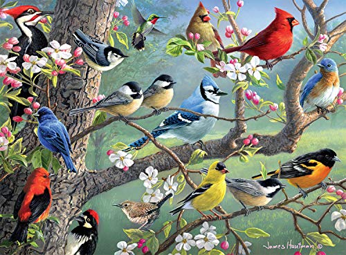 Buffalo Games - Hautman Brothers - Birds in an Orchard - Puzzle 1000 Teile von Buffalo Games