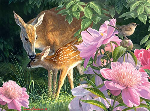 Buffalo Games - Hautman Brothers – Spring's Rehkitz – 1000 Teile Puzzle von Buffalo Games