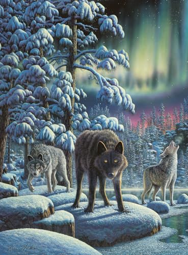 Buffalo Games - Kim Norlien – Flüsse des Lichts – 1000-teiliges Puzzle für Erwachsene – herausforderndes Puzzle perfekt für Spieleabende – Fertige Größe ist 26,75 x 19,75 cm Buffalo Games - Kim Norlien – Flüsse des Lichts – 1000-teiliges Puzzle für Erwachsene – herausforderndes Puzzle perfekt für Spieleabende – Fertige Größe ist 26,75 x 19,75 cm von Buffalo Games