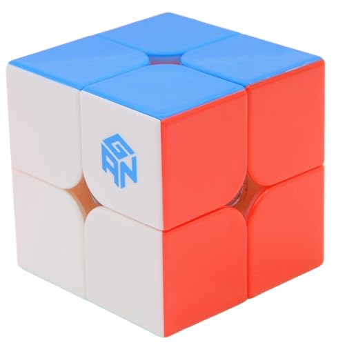 Bukefuno GAN 251 Leap Magnetischer Speed Zauberwürfel Gans 2x2 GAN 251 Leap 63 Stickerlos Magnet Magic Cube Mini 2x2x2 Puzzle Frosted Oberfläche (Frosted Oberfläche Version) von Bukefuno