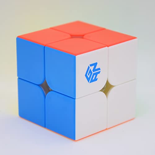 Bukefuno GAN 251 M Pro 2x2 Magnetwürfel Gans Mini Speed GAN 251 Pro 63 2x2x2 Aufkleberlose Magnete 2021 Magic Puzzle (Flaggschiff 251M Pro Matte Oberfläche) von Bukefuno