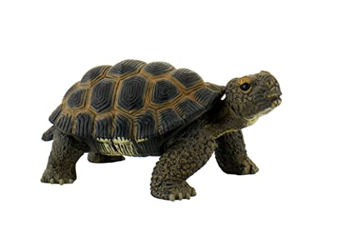 Bullyland 63553 - Spielfigur Landschildkröte, ca. 13,6 cm große Tierfigur, detailgetreu, PVC-frei, ideal als kleines Geschenk für Kinder ab 3 Jahren Bullyland 63553 - Spielfigur Landschildkröte, ca. 13,6 cm große Tierfigur, detailgetreu, PVC-frei, ideal als kleines Geschenk für Kinder ab 3 Jahren von Bullyland