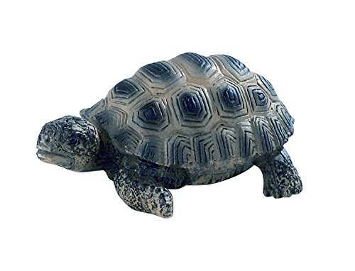 Bullyland 63554 - Spielfigur, Landschildkröten Junges, ca. 2,5 cm, ideal als Torten-Figur, detailgetreu, PVC-frei, tolles Geschenk für Kinder zum fantasievollen Spielen Bullyland 63554 - Spielfigur, Landschildkröten Junges, ca. 2,5 cm, ideal als Torten-Figur, detailgetreu, PVC-frei, tolles Geschenk für Kinder zum fantasievollen Spielen von Bullyland