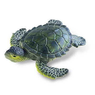 Bullyland 63556 DELUXE MEERSCHILDKRÖTENJUNGES Bullyland 63556 DELUXE MEERSCHILDKRÖTENJUNGES von Bullyland