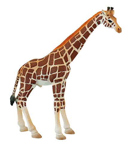 Bullyland 63710 - Spielfigur Giraffen Bulle, ca. 20 cm große Tierfigur, detailgetreu, PVC-frei, ideal als Tortenfigur und kleines Geschenk für Kinder ab 3 Jahren von Bullyland