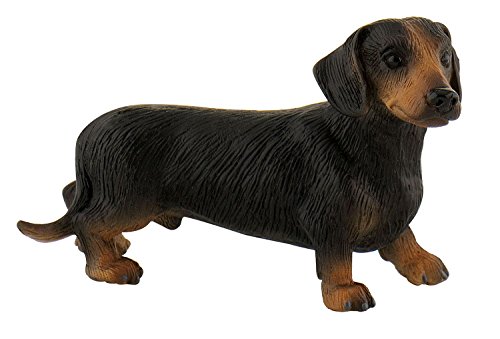 Bullyland 65441 - Spielfigur Kurzhaar-Dackel Appollo, ca. 7,4 cm große Tierfigur, detailgetreu, PVC-frei, ideal als kleines Geschenk für Kinder ab 3 Jahren Bullyland 65441 - Spielfigur Kurzhaar-Dackel Appollo, ca. 7,4 cm große Tierfigur, detailgetreu, PVC-frei, ideal als kleines Geschenk für Kinder ab 3 Jahren von Bullyland