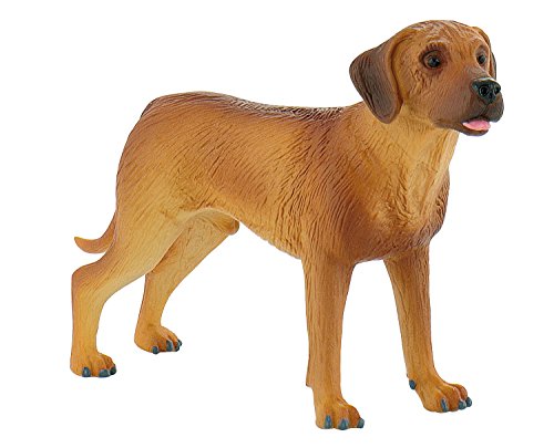 Bullyland 65442 - Spielfigur, Rhodesian Ridgeback Nelson, ca. 12 cm Bullyland 65442 - Spielfigur, Rhodesian Ridgeback Nelson, ca. 12 cm von Bullyland